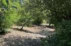 Casa de vanzare la ?ara locuin?a pregatita pentru mutare imediata! - 2