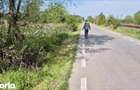Teren Agrigol Arabil | Titu | Dambovita | 5000 mp | Sosea - 1