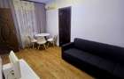 Apartament de inchiriat 2 Camere Valea Rosie - 4