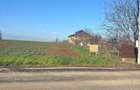 teren 5000mp, intravilan, Glina-Strada Rasaritului. Pret: 22 euro mp.