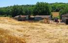 Vand casa si teren sat Canlia - 4