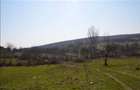Teren Ramnicu valcea Str Macesului sub padure - 1200 mp deschidere 24 m - curent apa canal gaze - 2
