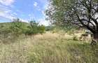 Comision 0% Teren intravilan construibil | 2848mp | Front 17m | Gilau - 5