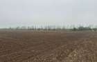 Teren de Vanzare | in zona 23 August - Olimp | 600 mp | Int - 5