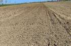 Teren agricol extravilan arabil - 2