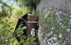 Vand casa + teren 1680mp Turda - 10