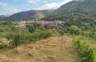 Teren de 20 mp, în Laz (Săsciori) - 3