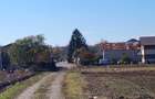 Teren intravilan Cosoba 4650 mp la 20 min de militari Bucuresti - 5