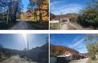 Casa si teren- Loc. Dognecea, jud. Caras-Severin - 5