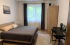 Apartament cu 1 camera de inchiriat in zona Complexului Studentesc - 3