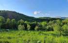 Teren de vanzare Valisoara, Alba - 2