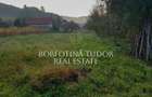 COMISION 0% | 3 constructii | Teren 2.100mp | Simisna, Salaj - 8
