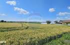 Teren 15,000mp Salcea-Prelipca, Suceava - 10
