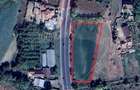 Teren intravilan 3500mp Bizighesti - 4