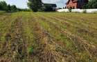 Teren intravilan Adunatii Copaceni | 3.399 mp | Ideal investitie - 10
