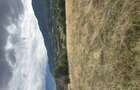 Teren de vanzare 2100 m2 zona Tohanita Zarne?ti - 2