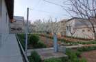Casă cu 4 camere cu Teren 1000 Mp în Medgidia - 2