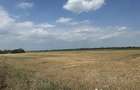 Agentia imobiliara VIGAFON vinde teren intravilan Parc Municipal Vest - 2