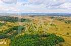Teren extravilan de vanzare - Valea Avrigului, Sibiu - 9