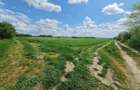 Vand Teren Agricol 200 Hectare in Judetul Arad - 1