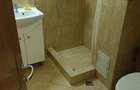 Oportunitate investitie !Spatiu-apartament ultracentral ,stradal , 4 camere, multiple activitati - 3