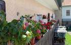 Vand Casa in centrul istoric oras Abrud - 3