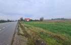 Teren intravilan, 33 ml DN 2 , Dumbrava, Bacau - 1