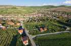 Teren Intravilan 504Mp-Hamba Sura Mare-Comision 0 - 1