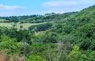 Vand teren.Panorama de vis.