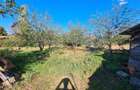 Casa cu 3 camere ?i curte mare, 37000 EUR - 12