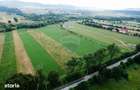 Teren 10,000mp Nemtisor / DJ 155C - 9