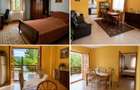 Casa Provita de Sus, 3.000 mp teren, 2 fronturi stradale, mobilata - 6