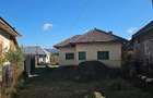 Casa Teren pana la Olt Raureni - 4