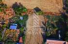 Teren intravilan de vanzare la Foeni, 13200 mp, front 24 m, Timis - 4