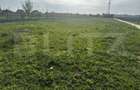 Teren intravilan, 650 mp, zona Prelungirea Panduri