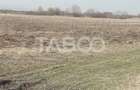 Teren extravilan 4200 mp in Sibiu zona Turnisor - 3