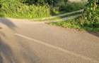 Teren intravilan in Zona Plaiul Lisei, in suprafata de 7000 mp. - 3