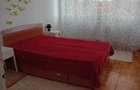 Proprietar inchiriez apartament cu doua camere Timisoara - 4