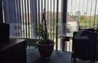 Spatiu comercial p+2 , 750 mp de vanzare zona centrala - 4
