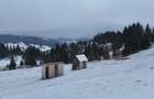Teren extravilan de vanzare in Bucovina Breaza zona Paraul Negrei - 10