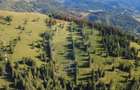 Teren 47,732mp Panaci / Strada MIhailet
