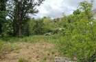 Teren intravilan de vanzare pe strada Unirii, Moreni , 900 mp - 1