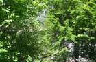 Apartament cu doua camere -Busteni,central - 12