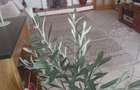 Se Vinde Apartament Cu 4 Camere, Sector 2, Direct Proprietar! - 8