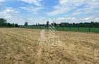 Teren 552 mp, cu utilitati, case noi langa, Parta, 19 km de Timisoara. - 2