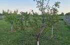 Proprietar vand teren in Giroc