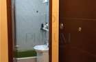Apartament 1 camera-Etaj Intermediar-Centrala-Freidorf - 7