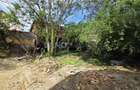 COMISION 0% CASA VECHE CU TEREN STR PREYER IOSEFIN - 10