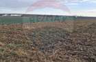 Teren intravilan 3400mp de vanzare la Santion - Santion (Bihor)