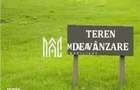 Teren | 3600 Mp| Intravilan | - 1
